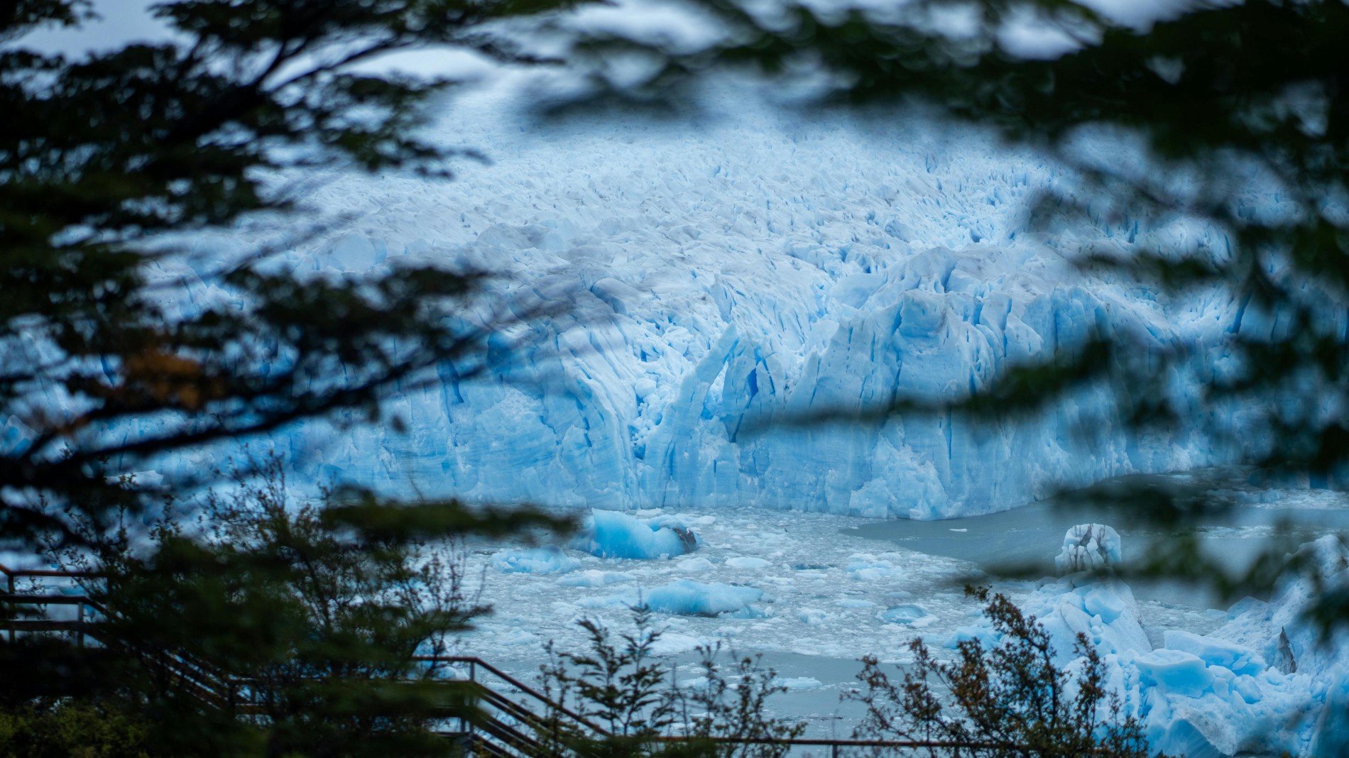 English speaking doctor El Calafate Argentina Patagonia – online medical consultation for tourists