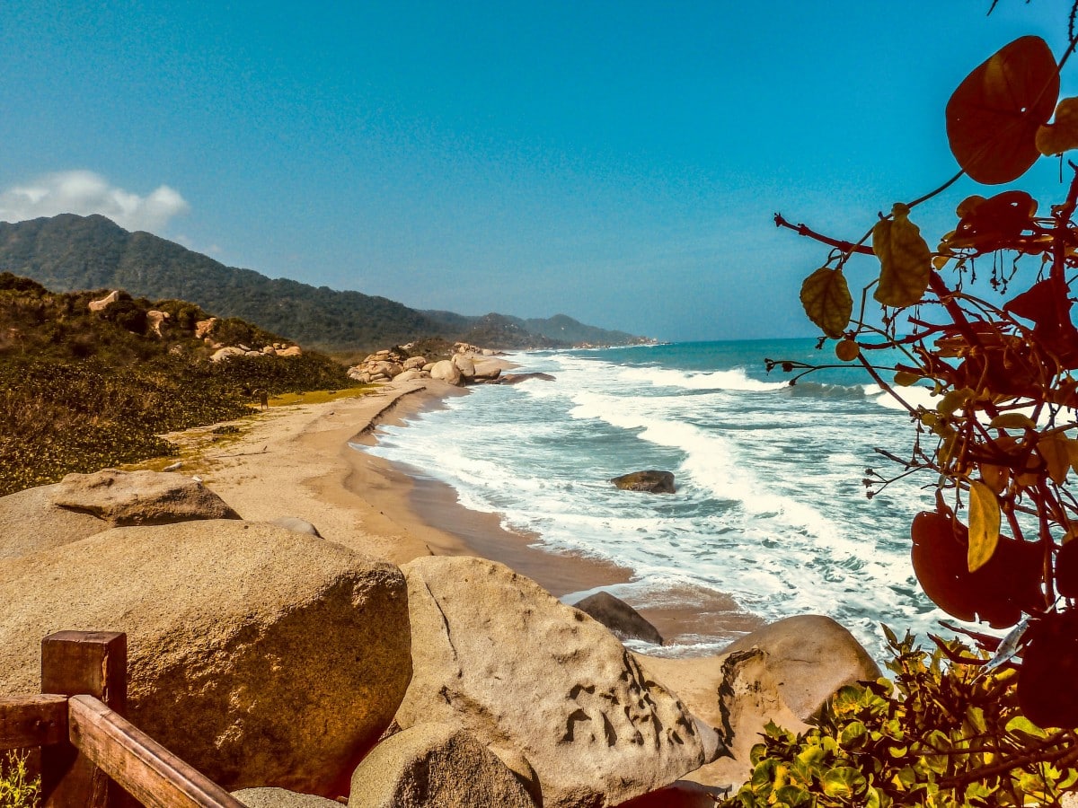 English speaking doctor Santa Marta Colombia
