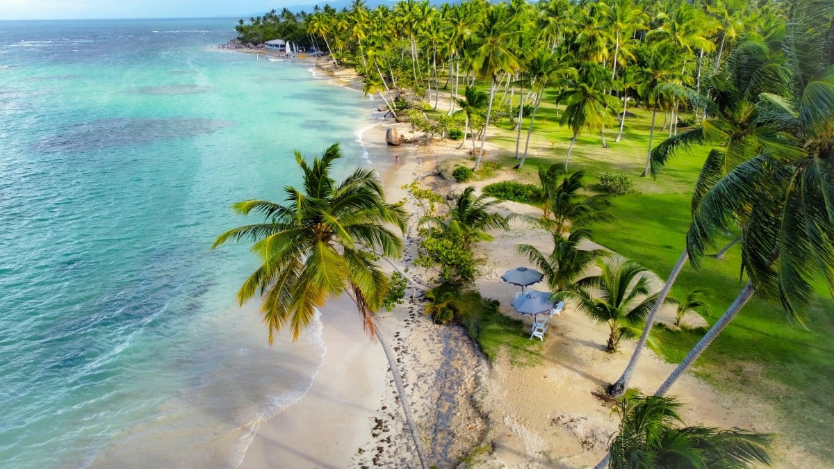 English-speaking doctor in Samaná, Dominican Republic — online medical consultation for tourists