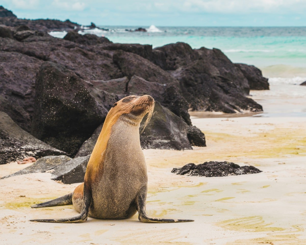 Online doctor in the Galapagos Islands